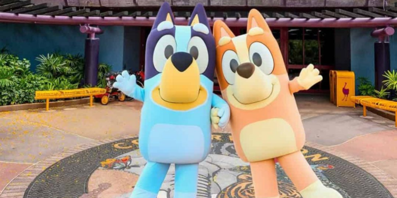 Bluey no Animal Kingdom: Disney inaugura nova experiência interativa com Bluey e Bingo