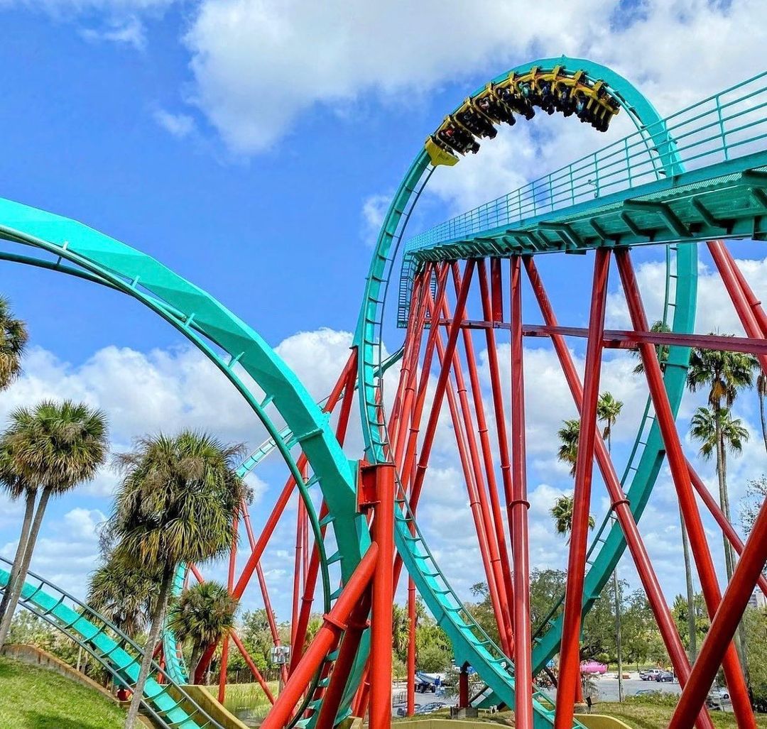 Montanha-russa Kumba realizando uma de suas inversões características no Busch Gardens Tampa Bay, na Flórida, durante sua última temporada de funcionamento antes do fechamento da atração em agosto de 2026