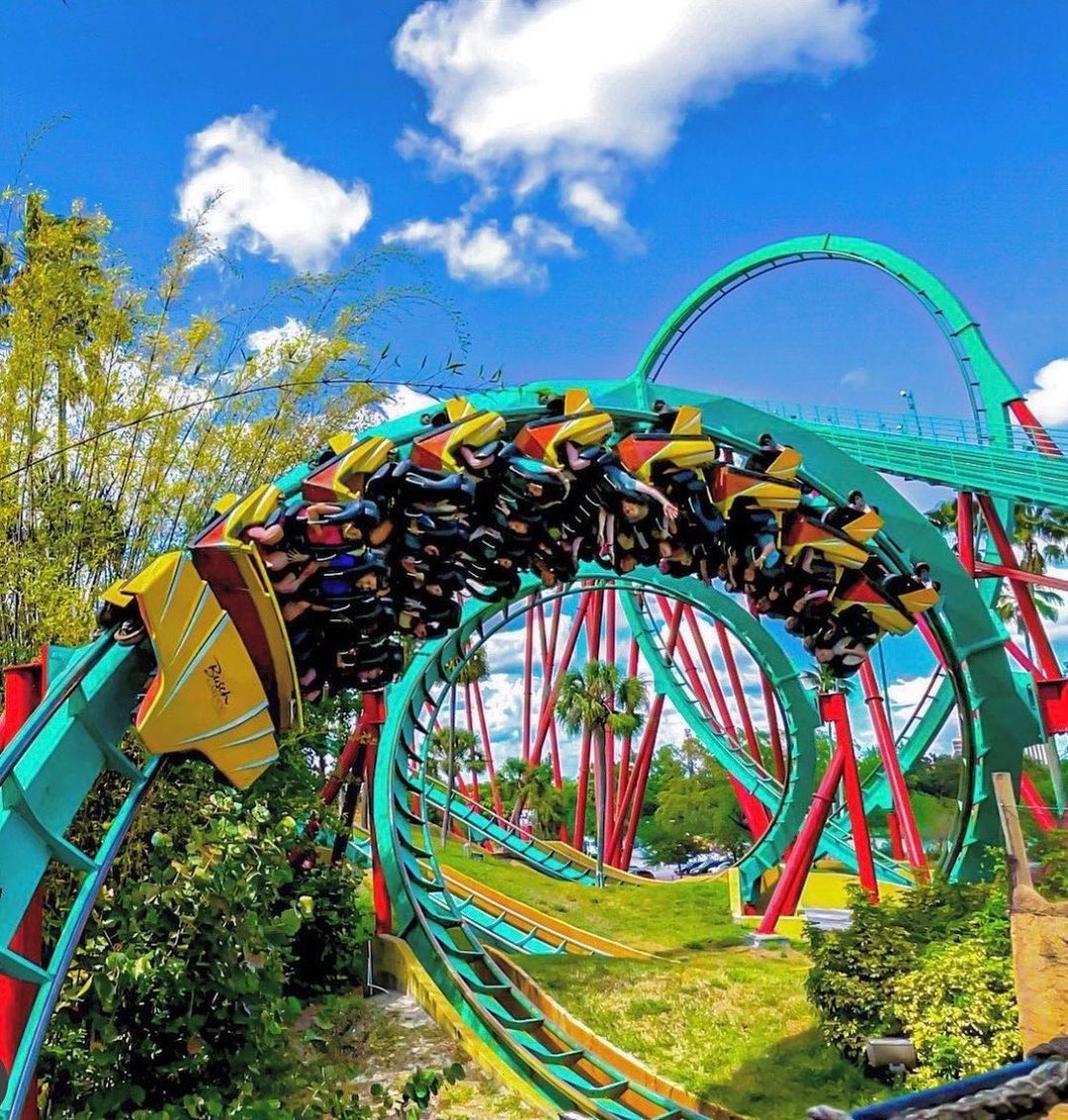 Trem da montanha-russa Kumba percorrendo uma das inversões do percurso no Busch Gardens Tampa Bay, na Flórida, com os trilhos característicos da atração ao fundo durante sua última temporada de operação.