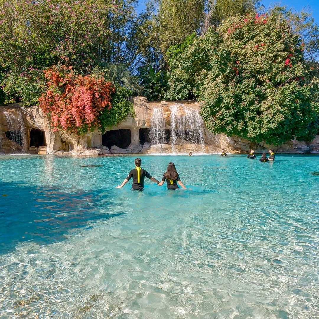 Visitantes em lago tropical no Discovery Cove em Orlando com cascata e vegetação, experiência exclusiva do parque