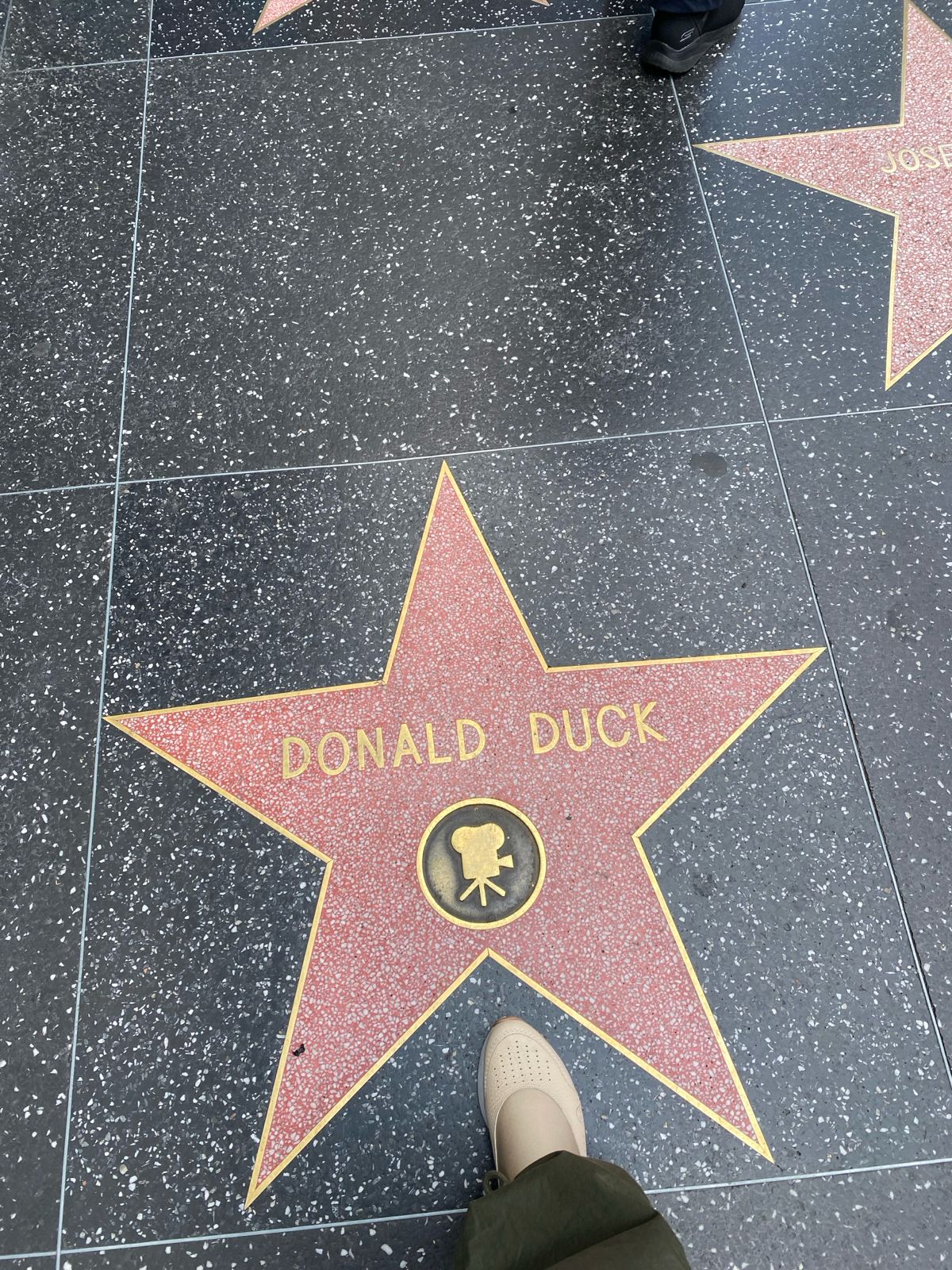 Estrela de Donald Duck na Calçada da Fama de Hollywood, homenagem ao icônico personagem da Disney