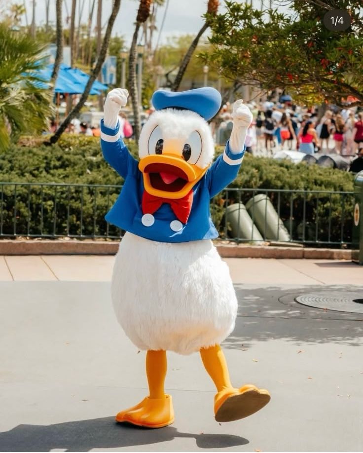 Donald Duck na Disney World durante encontro com personagens em Orlando em 2026